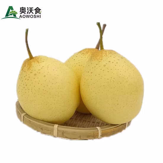 Nouvelle saison chinoise 2023 Vente de poires Ya jaunes fraîches de qualité supérieure